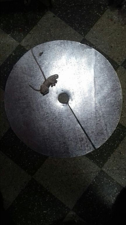 Судовой противокрысиный щит (крысоотбойник)
