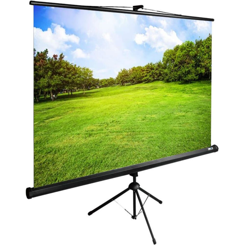 Напольный рулонный экран Cactus TriExpert CS-PSTE-200x150-BK
