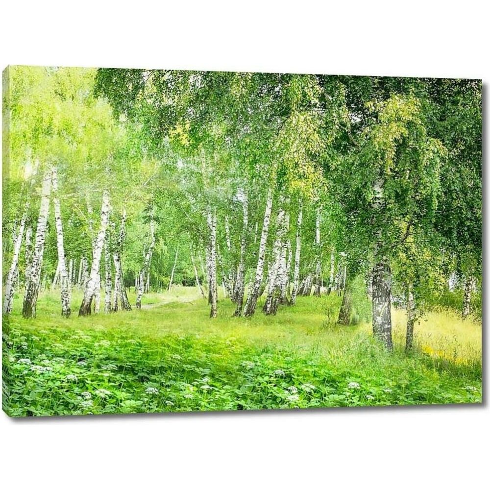 Картина ООО Первое ателье Зеленый лес с березами 60x44 см ps28596-3