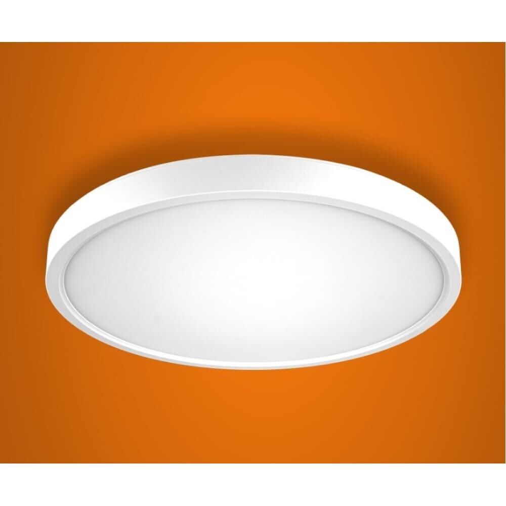 Настенно-потолочный светодиодный светильник iSVET круглый, 18Вт накладной, управляемый PNT-101-1-4