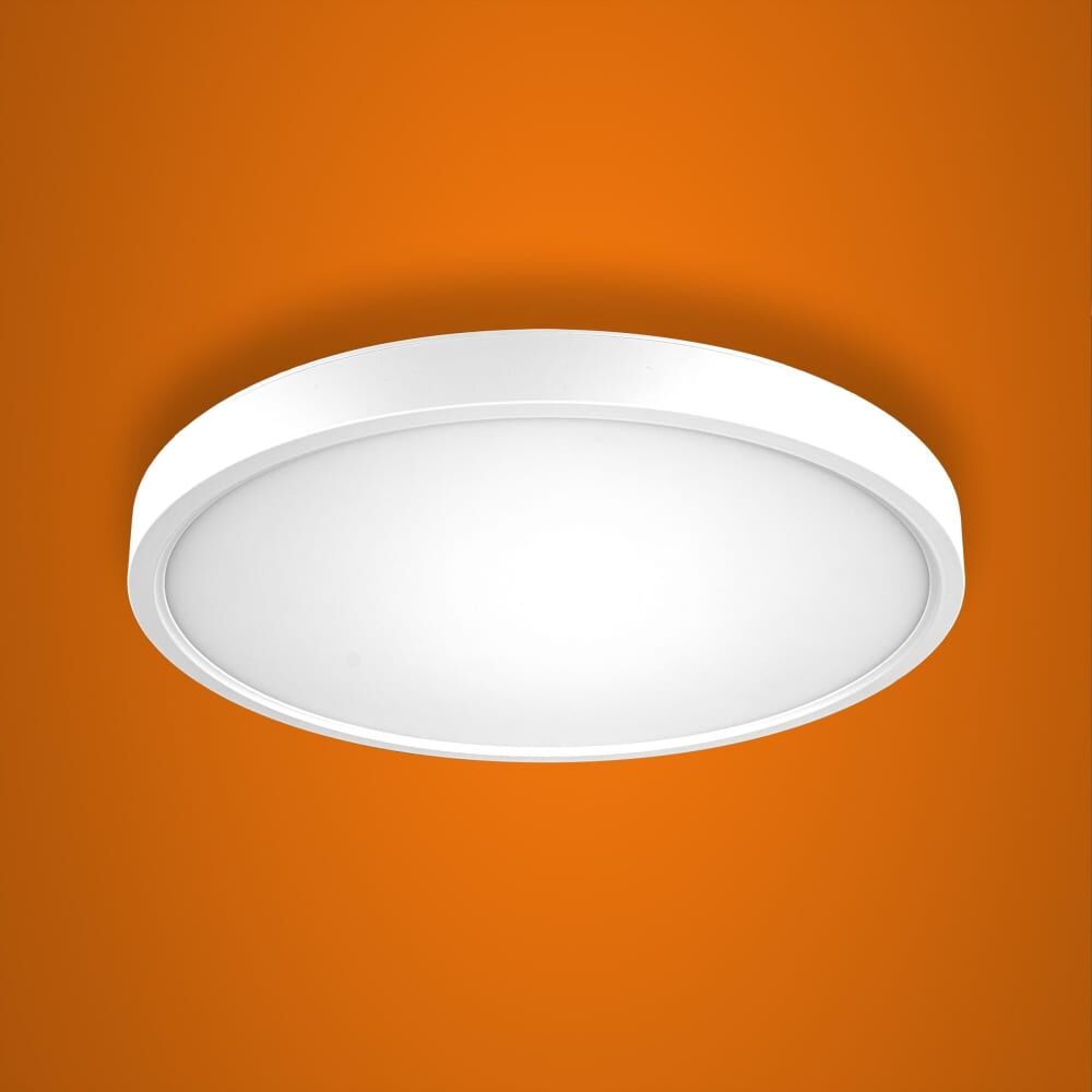 Настенно-потолочный светодиодный светильник iSVET 24Вт круглый накладной, управляемый PNT-101-2-4