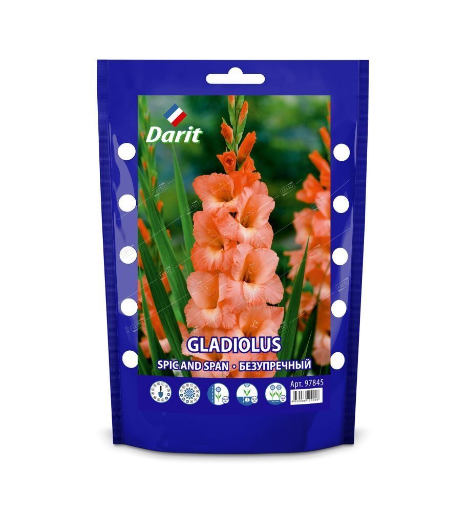 Дой-пак Гладиолус Безупречный Gladiolus Spic and Span 12/+(крупноцветк., красный) 7шт