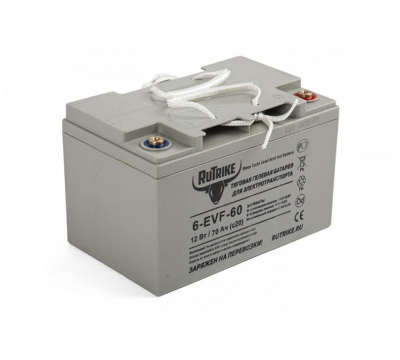 Аккумулятор для штабелёров CBD20W/CDDR-E/IWS/WS/CDDB-E/DYC 12 В/100 Ач гелевый (Gel battery)