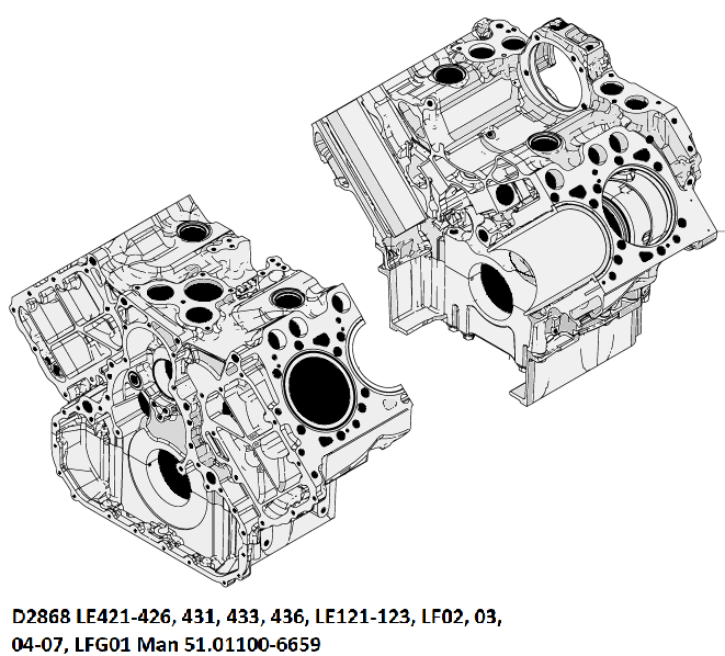 Блок двигателя Ман D2868LE 121-123, LF02, 03, 04-07, LFG01 Man 51.01100-6659, 51011006659