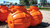 Комплект колодцев пластиковых Биосток-4 БИО 2000 литров для бытовых стоков #14
