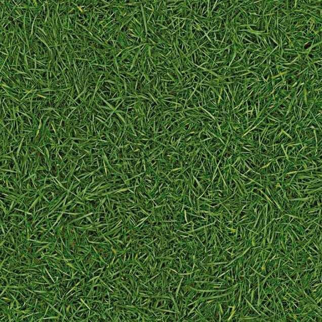 Линолеум коммерческий IVC VISION Grass T25, 4м