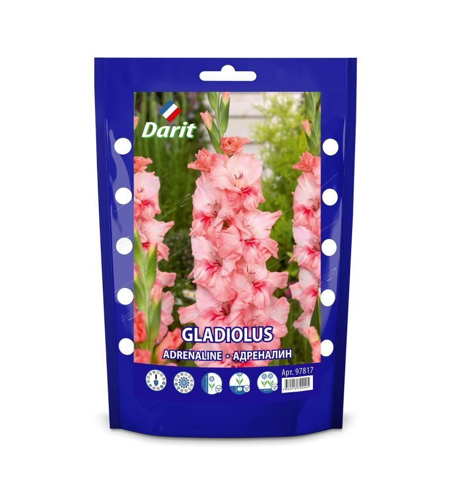 Дой-пак Гладиолус Адреналин Gladiolus Adrenaline 14/+ (крупноцветк., розовый) 5шт