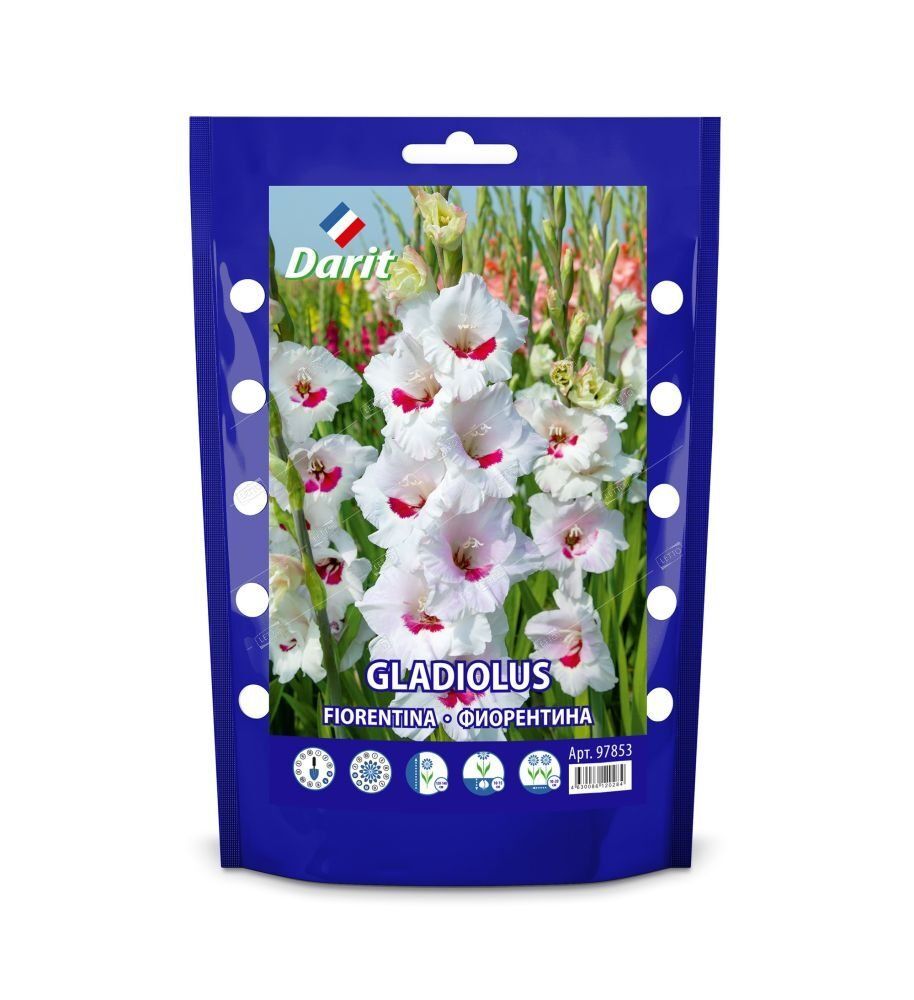Дой-пак Гладиолус Фиоретина Gladiolus Fiorentina 12/+ (крупноцветк., баттерфляй, белый)7шт