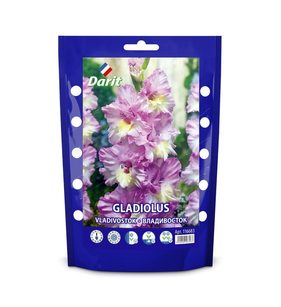 Дой-пак Гладиолус Владивосток Gladiolus Vladivostok 12/+ (крупноцветк., гофр., розовый) 7шт*