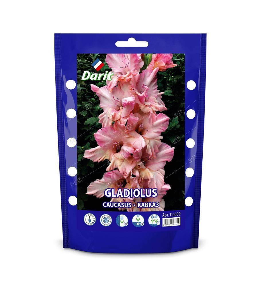 Дой-пак Гладиолус Кавказ Gladiolus Caucasus 12/+ (крупноцветк., гофр., розовый) 7шт*