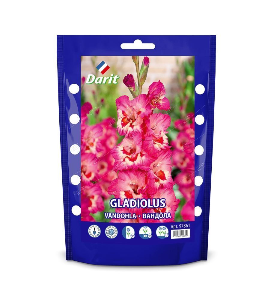 Дой-пак Гладиолус Вандола Gladiolus Vandohla 14/+(крупноцветк.,гофр., розовый) 5шт