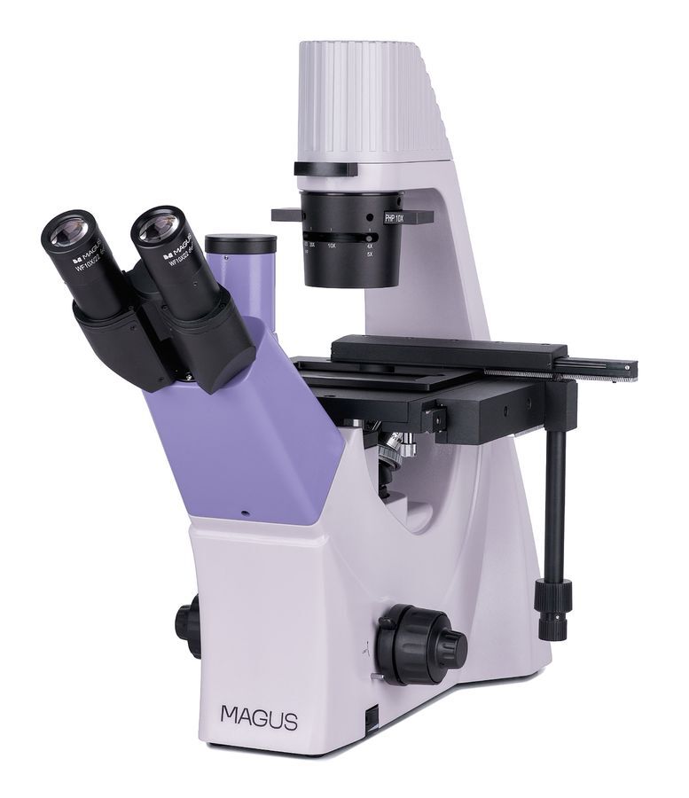 Биологические микроскопы MAGUS MAGUS Bio V300 Микроскоп биологический инвертированный