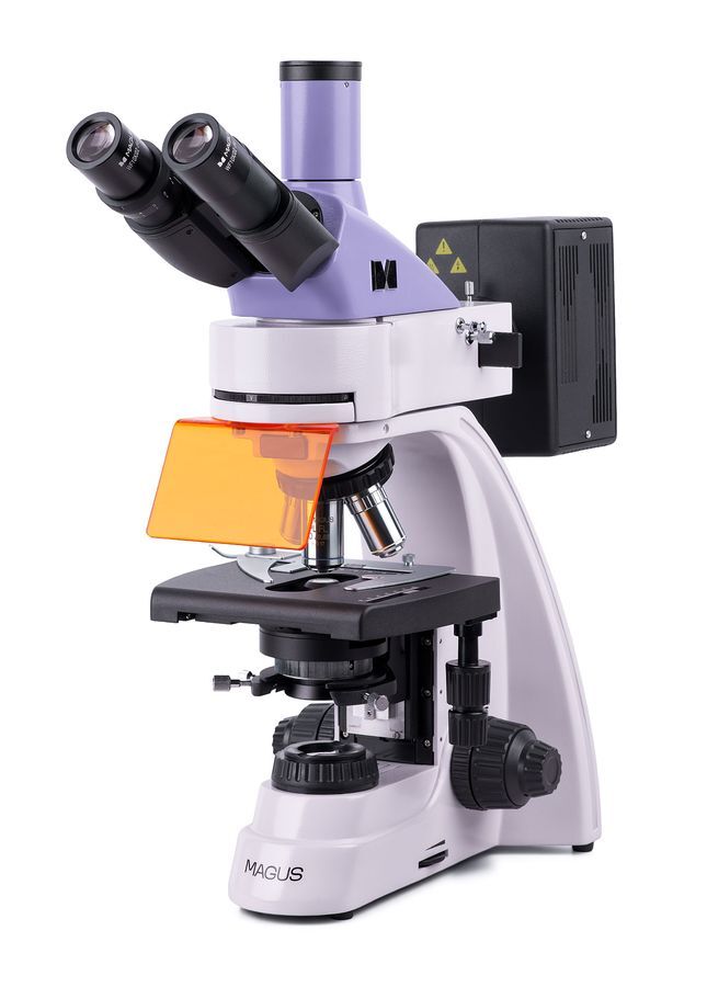 Биологические микроскопы MAGUS MAGUS Lum 400 Микроскоп люминесцентный
