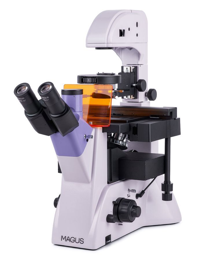Биологические микроскопы MAGUS MAGUS Lum V500L Микроскоп люминесцентный инвертированный