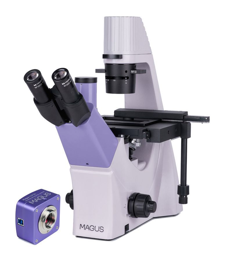 Биологические микроскопы MAGUS MAGUS Bio VD300 Микроскоп биологический инвертированный цифровой