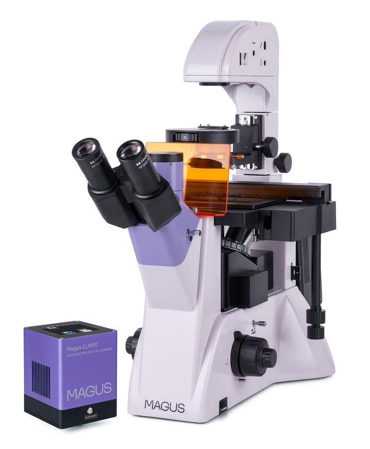 Биологические микроскопы MAGUS MAGUS Lum VD500 Микроскоп люминесцентный инвертированный цифровой