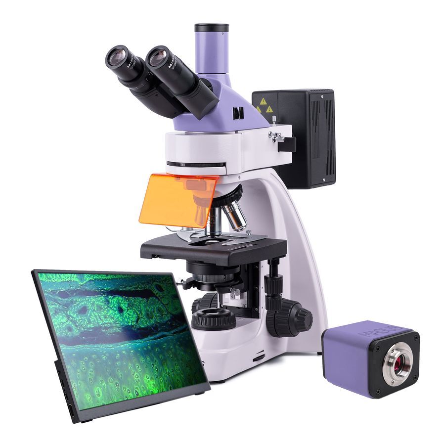 Биологические микроскопы MAGUS MAGUS Lum D400 LCD Микроскоп люминесцентный цифровой