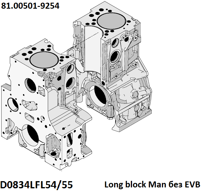 Блок двигателя Ман D0834LFL54/55 Long block Man без EVB 81.00501-9254, 81005019254