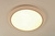 Светодиодный светильник GLX-HS-A13-36W-D370 LED (1шт) #5