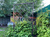 Вертикальная шпалера для малины Подставки и опоры для растений Амарант #2