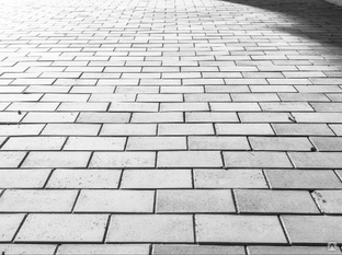 Тротуарная плитка Зигзаг 225х125х60 мм цвет серый 